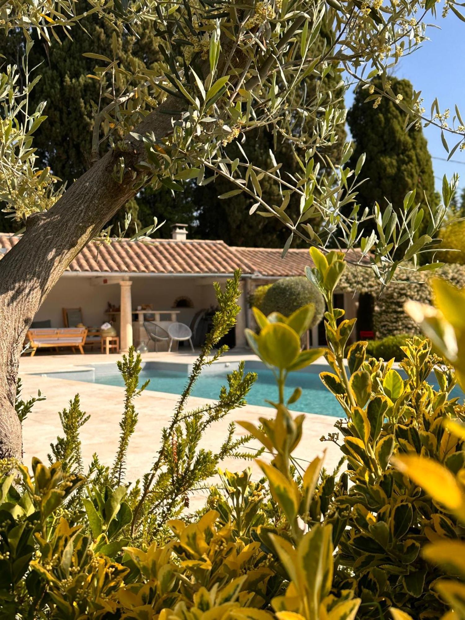 Mas Des Bambous Hotell Saint-Rémy-de-Provence Exteriör bild