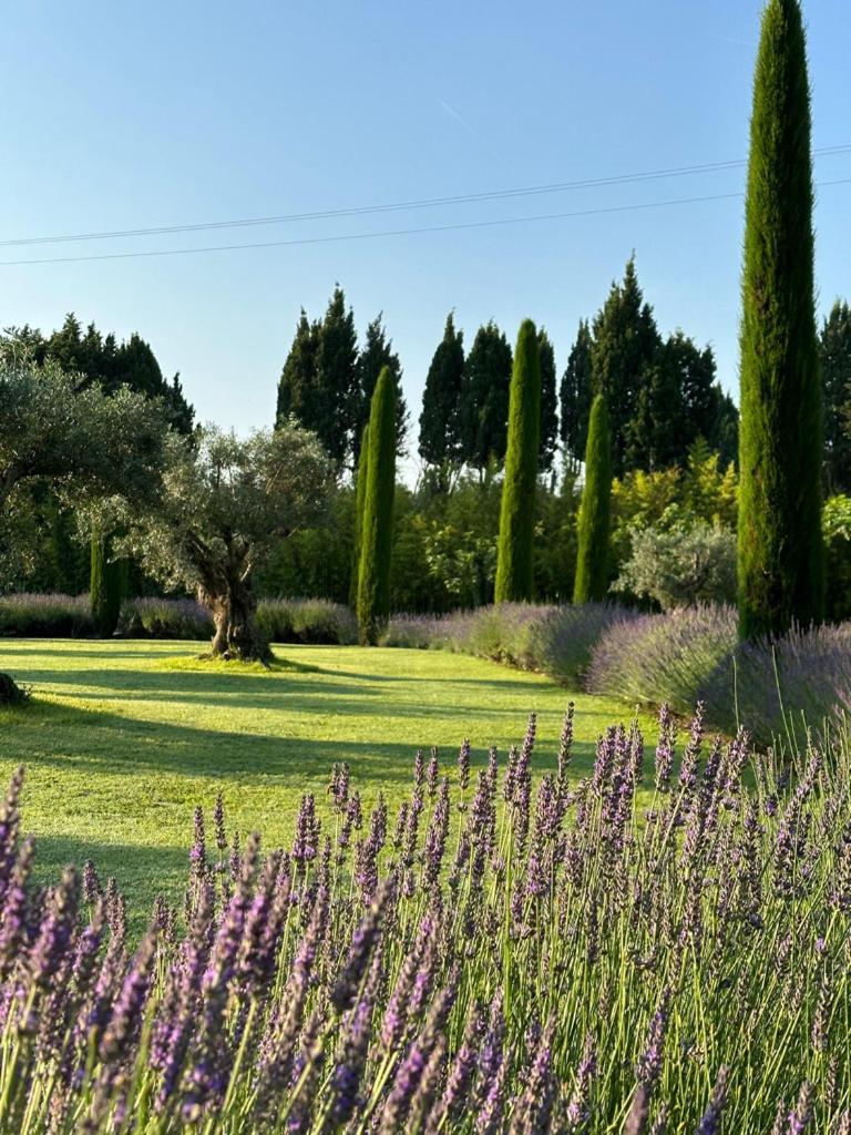 Mas Des Bambous Hotell Saint-Rémy-de-Provence Exteriör bild